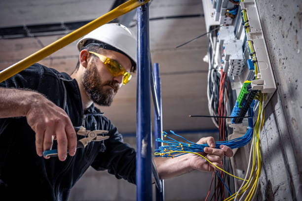Best Local Electrician Companies  in Ankeny, IA
